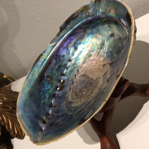 Beautiful Blue Shell Beautiful Stand Coastal Decor FINAL SALE - Picture 4 of 9